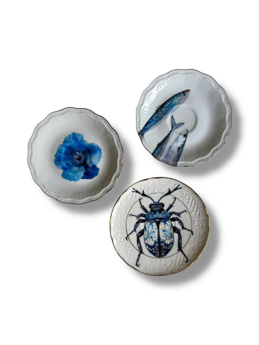 Vintage Wall Plate Beetle Blue