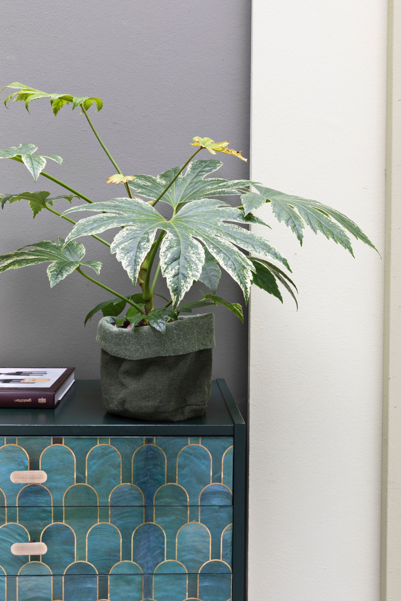Vintage ladekast in Bethan Gray Nizwa Jade | The Vintage Vibe